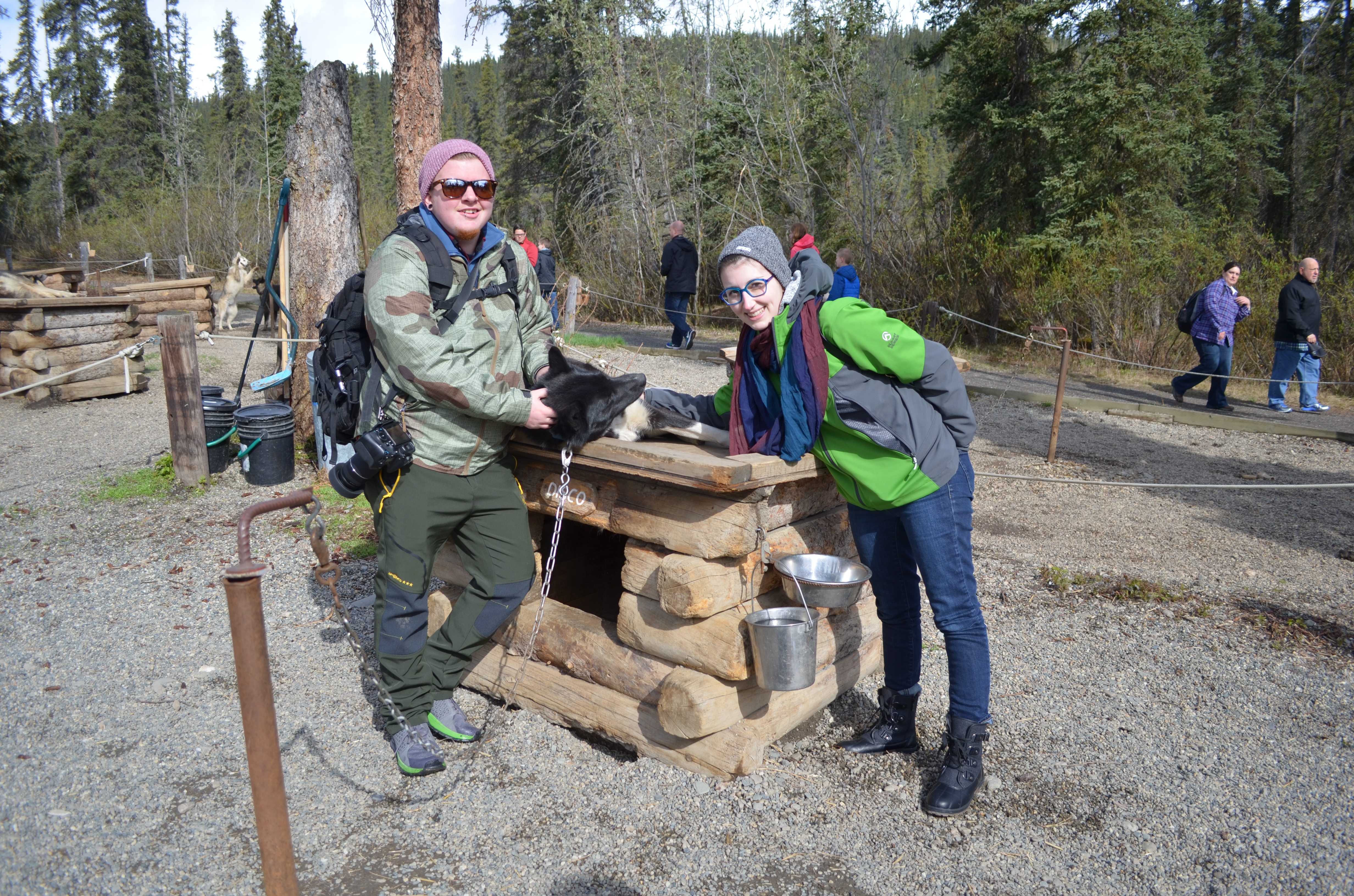 ./2017/08 - Alaska Cruise/03 - Denali/DSC_0313.JPG